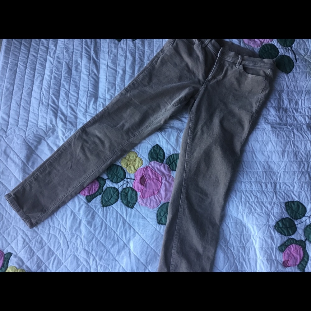 Loft skinny cords